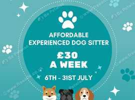 Affordable Dog Sitting Services