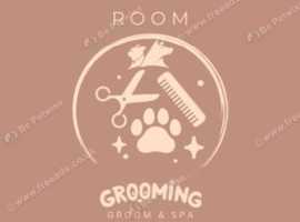 Carly's groom room