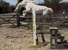 Olaf