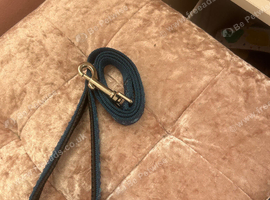 Strong dog lead
