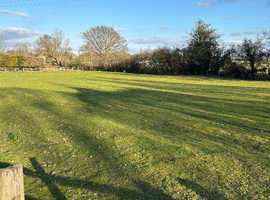 Summer and winter grazing fields to let