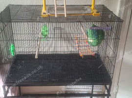 Bird cage
