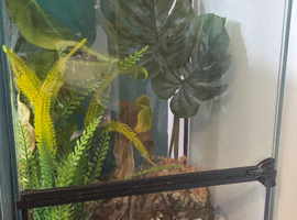 Terrarium 12inx 12in x 23in