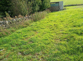 2.5 acres of grass with shelter, now available