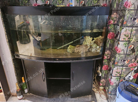 4foot fish tank