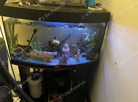 180l jewel fish tank