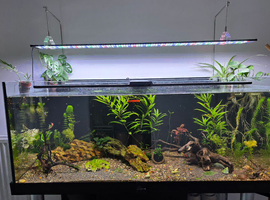 fish tank set and accessories