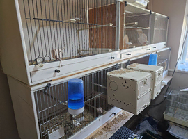 Upvc Breeding cages