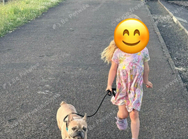 Unwillingly have to rehome our wee frenchie