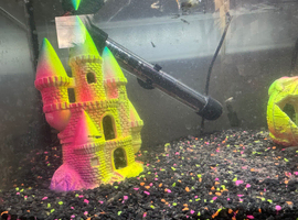 Lots of 4 week old guppies &pound;1 each