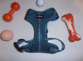 Dog Harness XS & toys