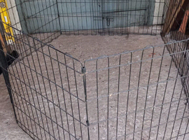 rabbit pen