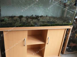 Juwel Rio fish tank