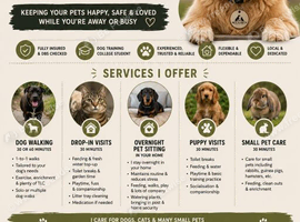 Trusted Pet Care in Mansfield | Mutz N Strutts