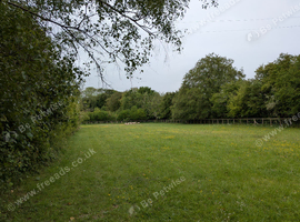 Paddock Grazing in Ropley