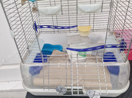 Budgies cage