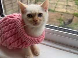 One little girl