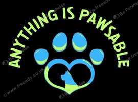 Anything is Pawsable Dog Training (Reactive Dog Specialists)