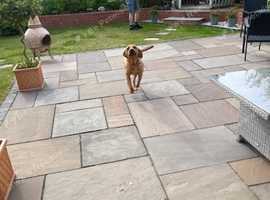 Dog Home Boarding in Needham Market - Doggy Home from Home