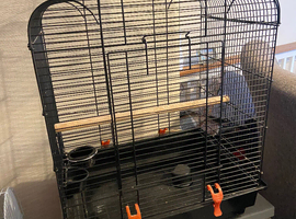 2 cages