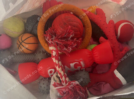 Dog toys