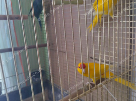 For sale