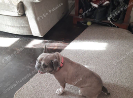 Giving her for adoption