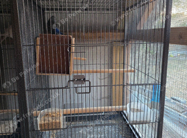 Cages