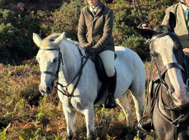 14.2hh 8-Year-Old Connemara Mare