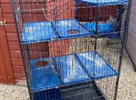 Chinchilla/Rat cage
