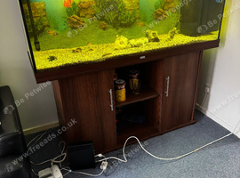 Juwel 450 litre fish tank