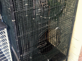 3 door cage