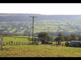 Livery yard in ilkley