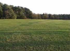 I am looking for land 1-3 acres for horses