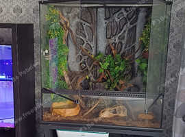 90cm x 90cm x 45cm exoterra and stand