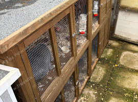 6ft hutch pets at home