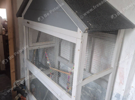 Small indoor/outdoor avairy