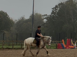12.2 mini cob