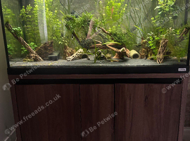 Fluval Roma 200 oak Aquarium & cabinet