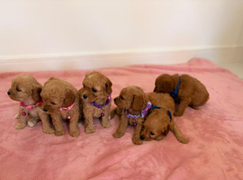 Beautiful baby&rsquo;s boy & girls