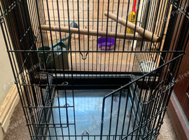 large bird cage
