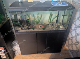Aquatropic 160 LED Full Setup