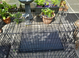 Dog crates