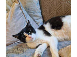 Female 2/3 years