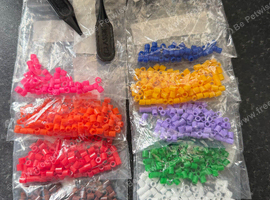 Finch Leg Rings