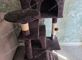Medium scratching posts