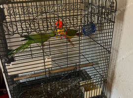 Parethi left