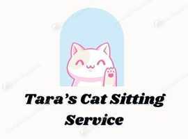 Friendly, reliable, trustworthy cat sitter in Milton Keynes