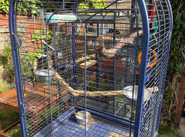 Nice parrot cage for sale