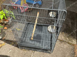Bird cage